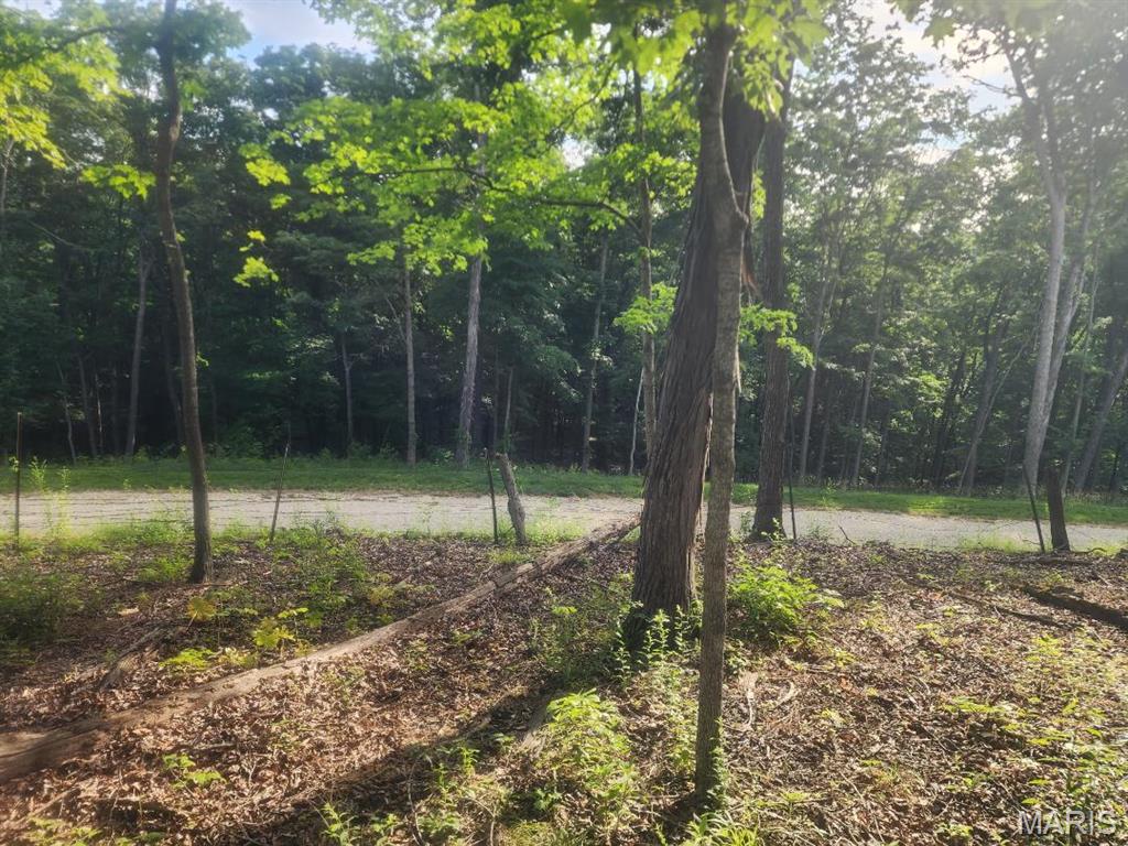 Homes for sale in Warrenton, MO | 22206 Tree Farm (652acres +/ ) Rd, Warrenton, MO 63383 | MLS# MIS26035136