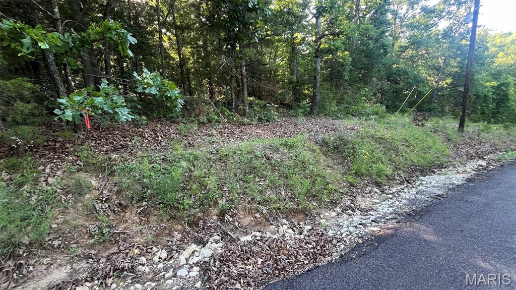 Homes for sale in Owensville, MO | Lot 824 Woodson Rd, Owensville, MO 65066 | MLS# MIS26037960