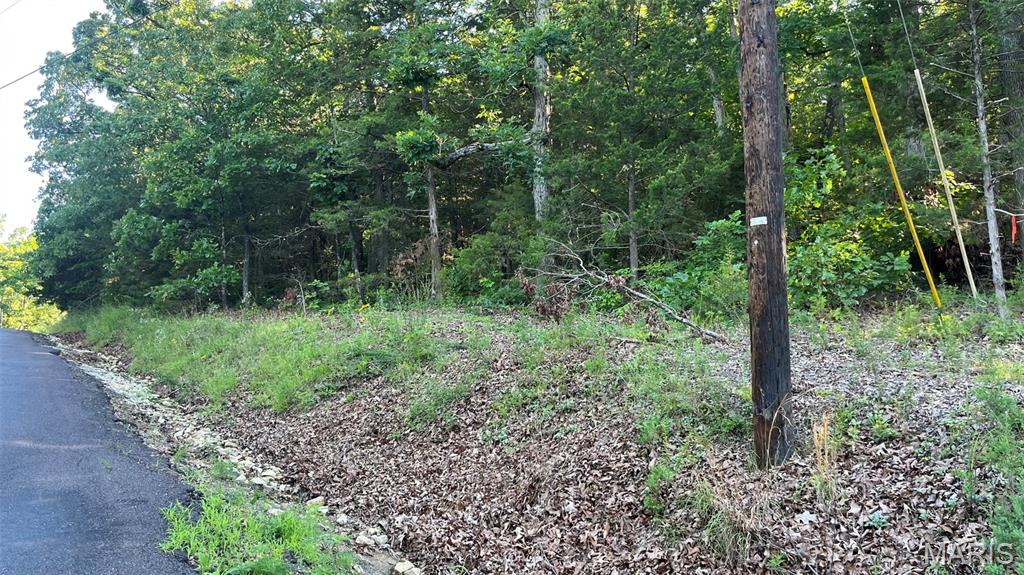 Homes for sale in Owensville, MO | Lot 824 Woodson Rd, Owensville, MO 65066 | MLS# MIS26037960