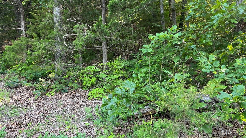 Homes for sale in Owensville, MO | Lot 824 Woodson Rd, Owensville, MO 65066 | MLS# MIS26037960