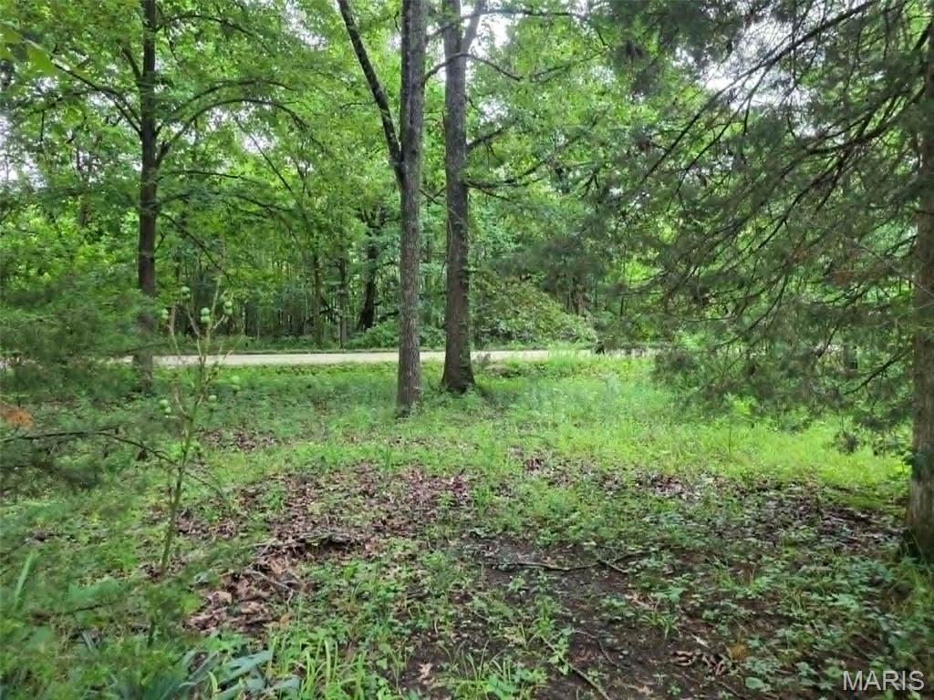 Homes for sale in Wappapello, MO | 951 County Road 514, Wappapello, MO 63966 | MLS# MIS26037973