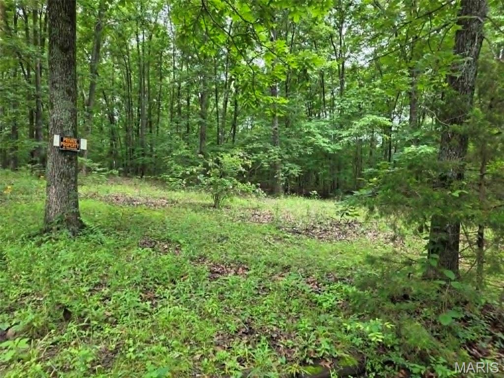 Homes for sale in Wappapello, MO | 951 County Road 514, Wappapello, MO 63966 | MLS# MIS26037973