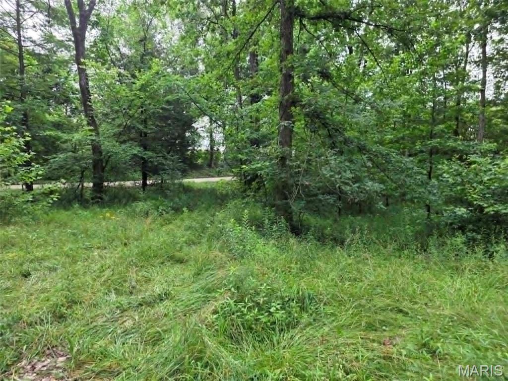 Homes for sale in Wappapello, MO | 951 County Road 514, Wappapello, MO 63966 | MLS# MIS26037973