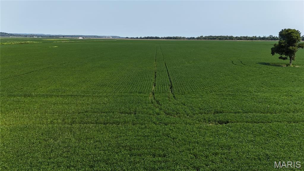 10th image of 31+/  Acres, Foley, MO 63347 | MLS# MIS26038151