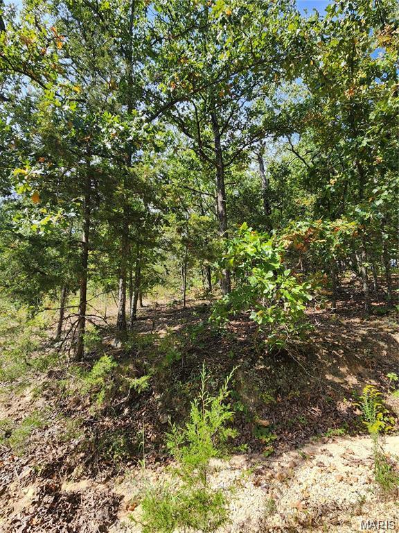Homes for sale in Owensville, MO | 7 W Skyline Dr, Owensville, MO 65066 | MLS# MIS26038449