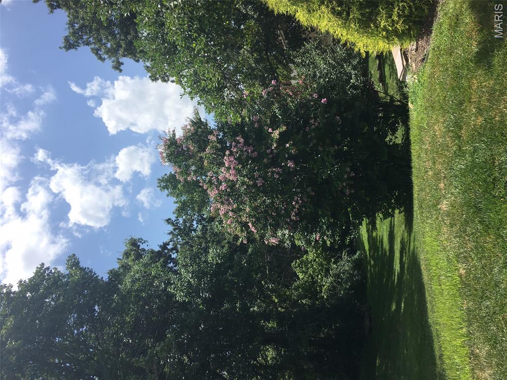 5th image of 330 Morristown Ct, Chesterfield, MO 63017 | MLS# MIS26038642