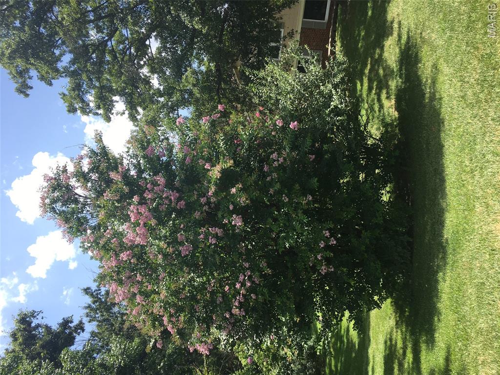 7th image of 330 Morristown Ct, Chesterfield, MO 63017 | MLS# MIS26038642
