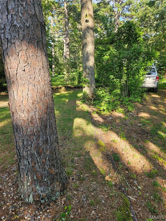 Homes for sale in Richwoods, MO | 10209 Thunder Rd, Richwoods, MO 63071 | MLS# MIS26038692