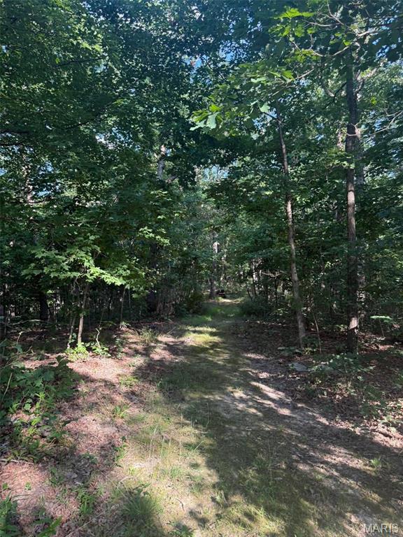 41st image of 25484 Sky Dr, Warrenton, MO 63383 | MLS# MIS26040224