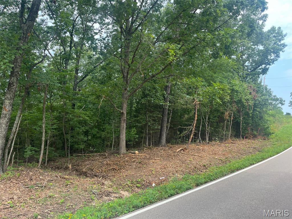 3rd image of 0 Hwy F Rd, Potosi, MO 63664 | MLS# MIS26040543