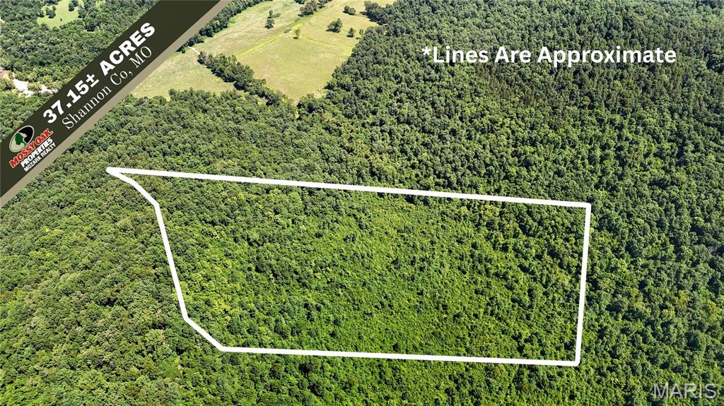 Homes for sale in Eminence, MO | Tbd Antler Ridge Subdivision, Eminence, MO 63629 | MLS# MIS26042895