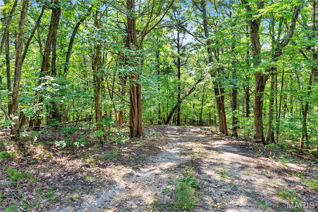 76th image of 5965 Evergreen Ln, Villa Ridge, MO 63089 | MLS# MIS26043912