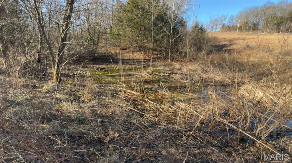 17th image of 16629 Beaufort Rd, Crocker, MO 65452 | MLS# MIS26044100