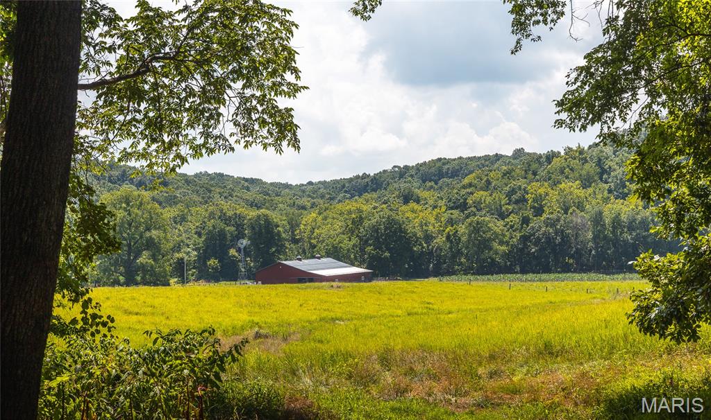 86th image of 2924 Bess Hollow Rd, Kampsville, IL 62053 | MLS# MIS26045010