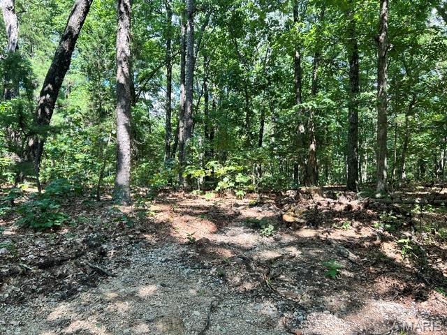 Homes for sale in Belleview, MO | 1 Frst Rd Banner-Belleview Rd, Belleview, MO 63623 | MLS# MIS26045178