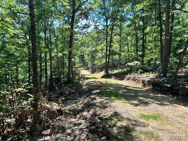 Homes for sale in Belleview, MO | 1 Frst Rd Banner-Belleview Rd, Belleview, MO 63623 | MLS# MIS26045178