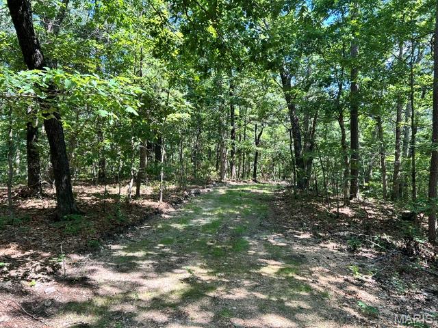 Homes for sale in Belleview, MO | 1 Frst Rd Banner-Belleview Rd, Belleview, MO 63623 | MLS# MIS26045178