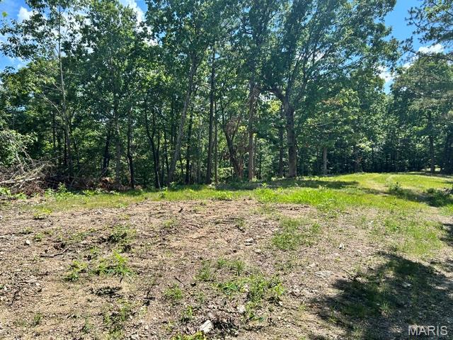 Homes for sale in Belleview, MO | 1 Frst Rd Banner Belleview Rd, Belleview, MO 63623 | MLS# MIS26045178