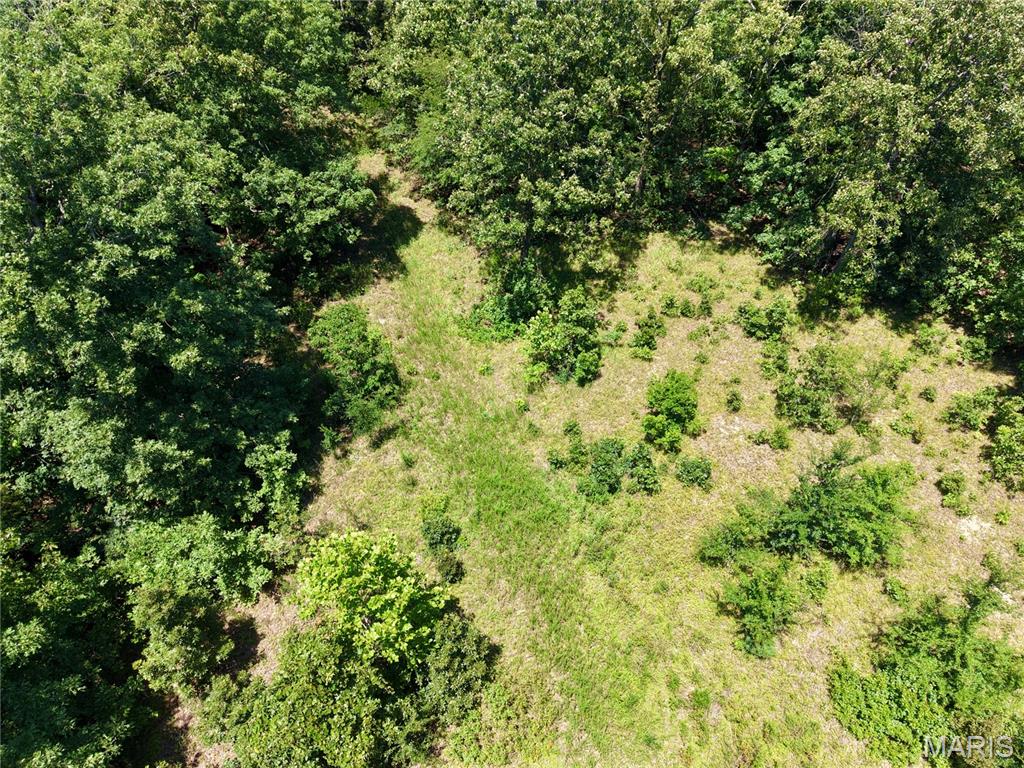 3rd image of 000 Hwy 172, Williamsville, MO 63957 | MLS# MIS26045324