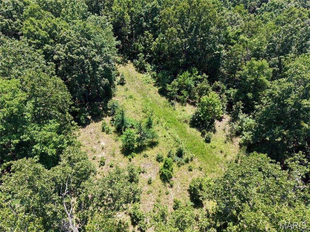 4th image of 000 Hwy 172, Williamsville, MO 63957 | MLS# MIS26045324