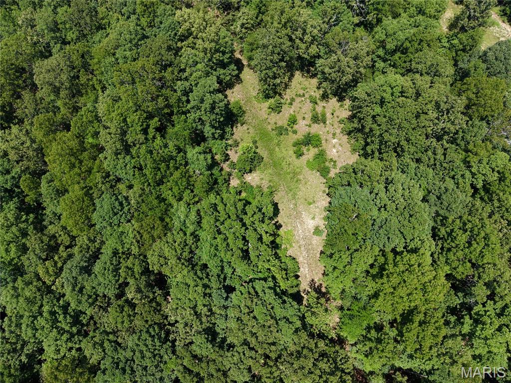2nd image of 000 Hwy 172, Williamsville, MO 63957 | MLS# MIS26045324
