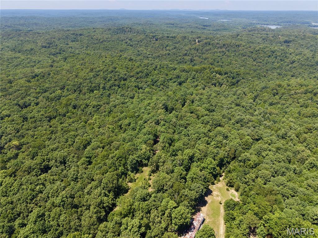 1st image of 000 Hwy 172, Williamsville, MO 63957 | MLS# MIS26045324