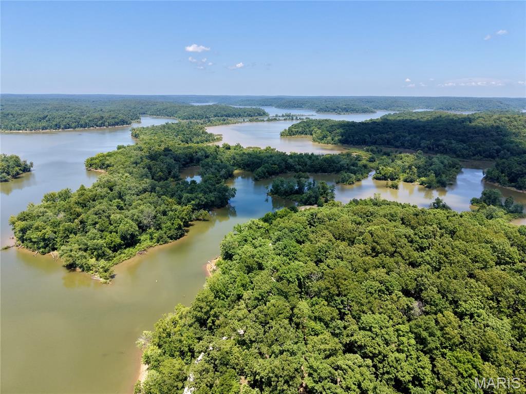 13th image of 000 Hwy 172, Williamsville, MO 63957 | MLS# MIS26045324
