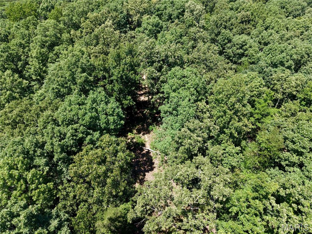 5th image of 000 Hwy 172, Williamsville, MO 63957 | MLS# MIS26045324