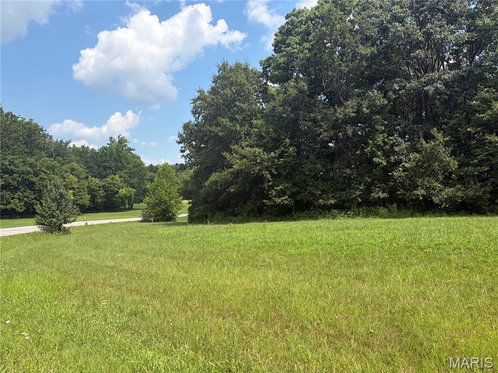 4th image of 100 Summers Dr, Hawk Point, MO 63349 | MLS# MIS26045470