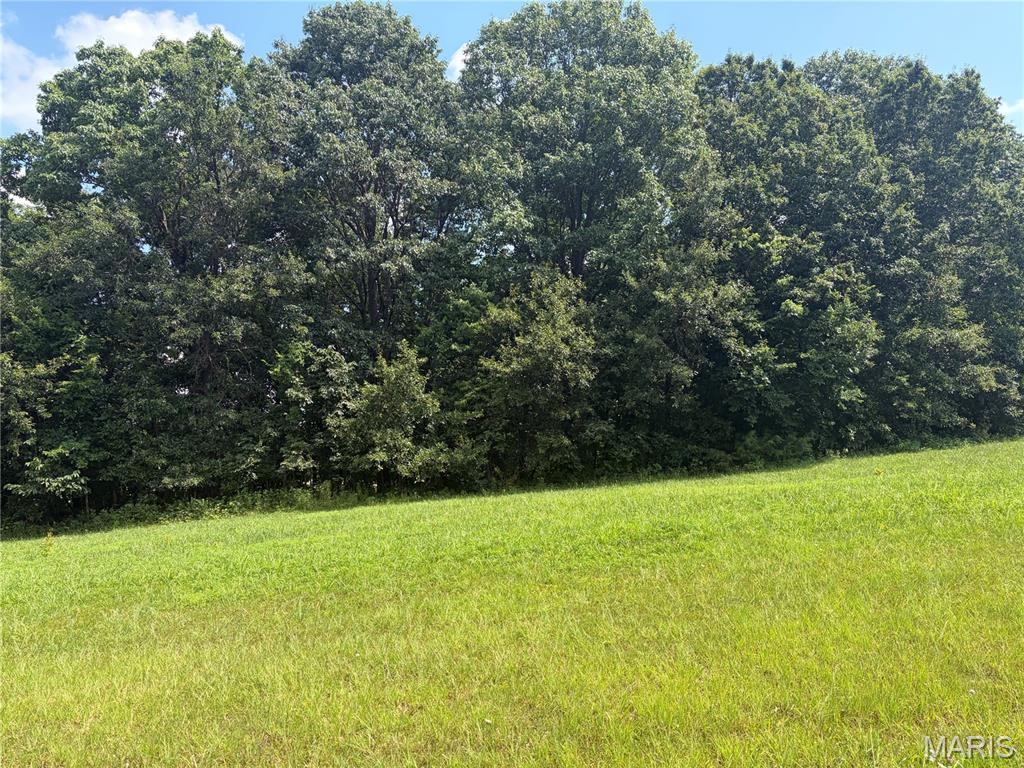 2nd image of 100 Summers Dr, Hawk Point, MO 63349 | MLS# MIS26045470
