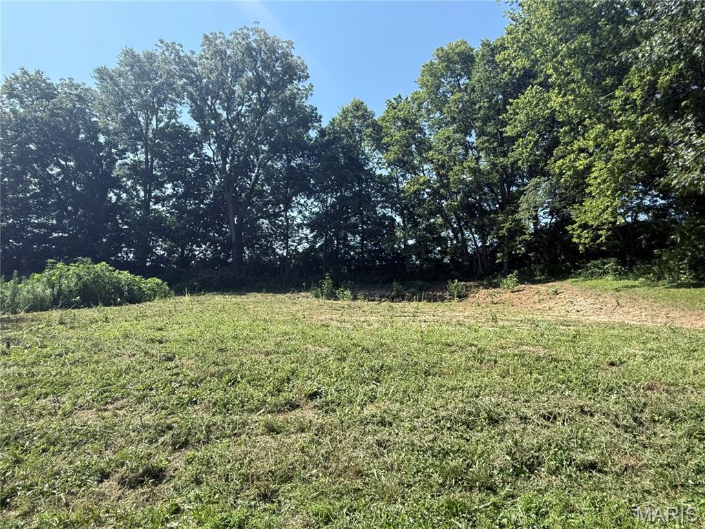 4th image of 717 Lincoln St, Elsberry, MO 63343 | MLS# MIS26045618