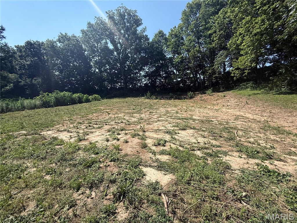 5th image of 717 Lincoln St, Elsberry, MO 63343 | MLS# MIS26045618
