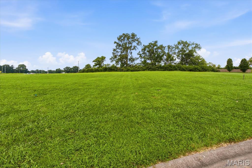 Homes for sale in New Athens, IL | 2813 Scenic Lake Dr, New Athens, IL 62264 | MLS# MIS26045932