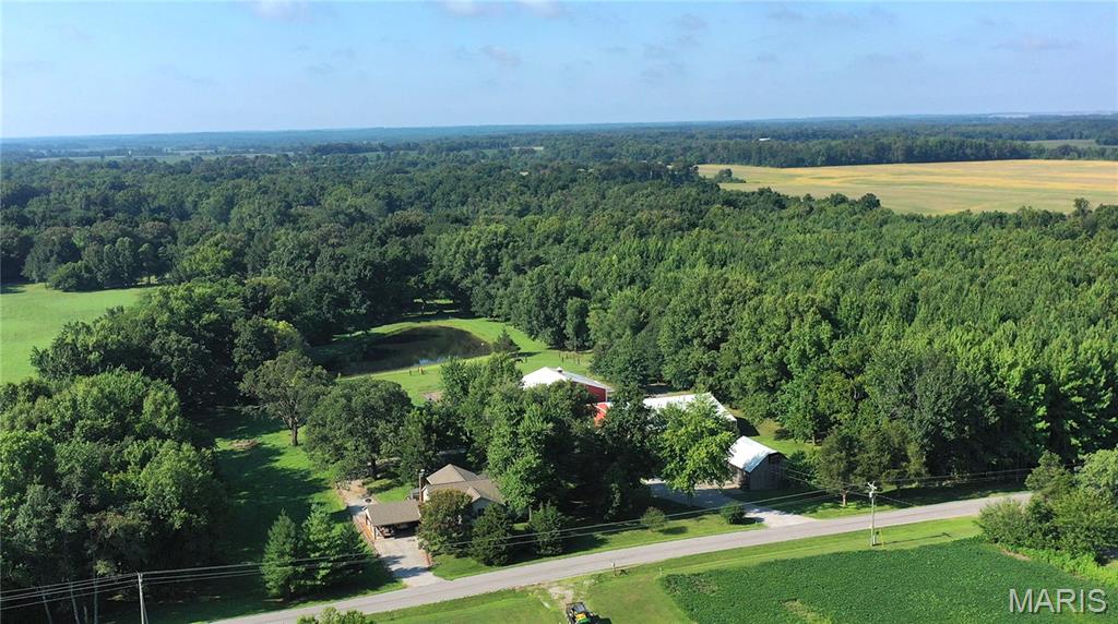 99th image of 23036 Carlyle Rd, Thompsonville, IL 62890 | MLS# MIS26046166