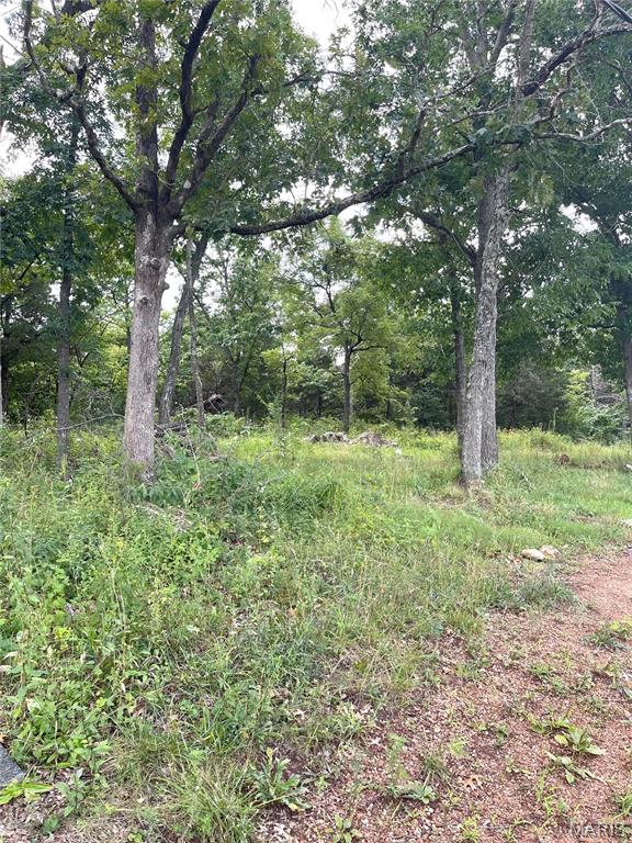 4th image of 15639 State Hwy 185, Potosi, MO 63664 | MLS# MIS26046266