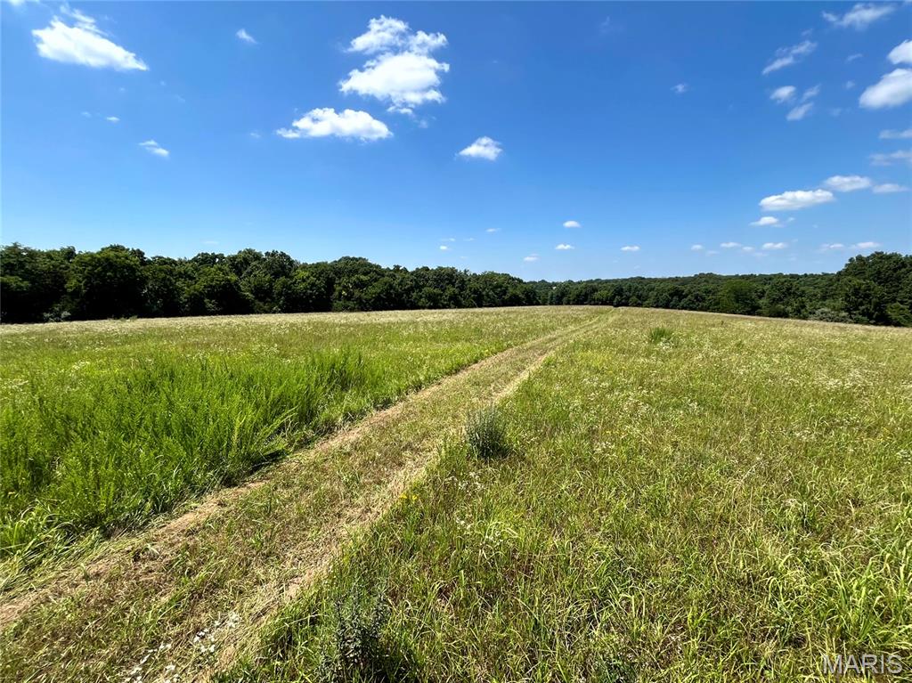 4th image of 0 Penrod Rd, Troy, MO 63379 | MLS# MIS26046348