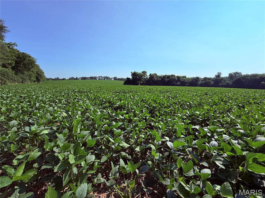 4th image of 0 Walnut Hill Ln (3631+/- Acres), Elsberry, MO 63343 | MLS# MIS26046398