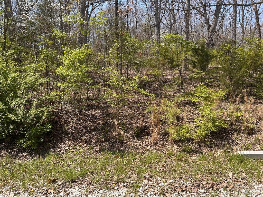 Homes for sale in Foristell, MO | 0 Elm Avenue, Foristell, MO 63348 | MLS# MIS26046521