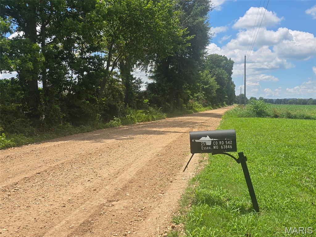 Homes for sale in Essex, MO | 25529 County Road 542, Essex, MO 63846 | MLS# MIS26046585