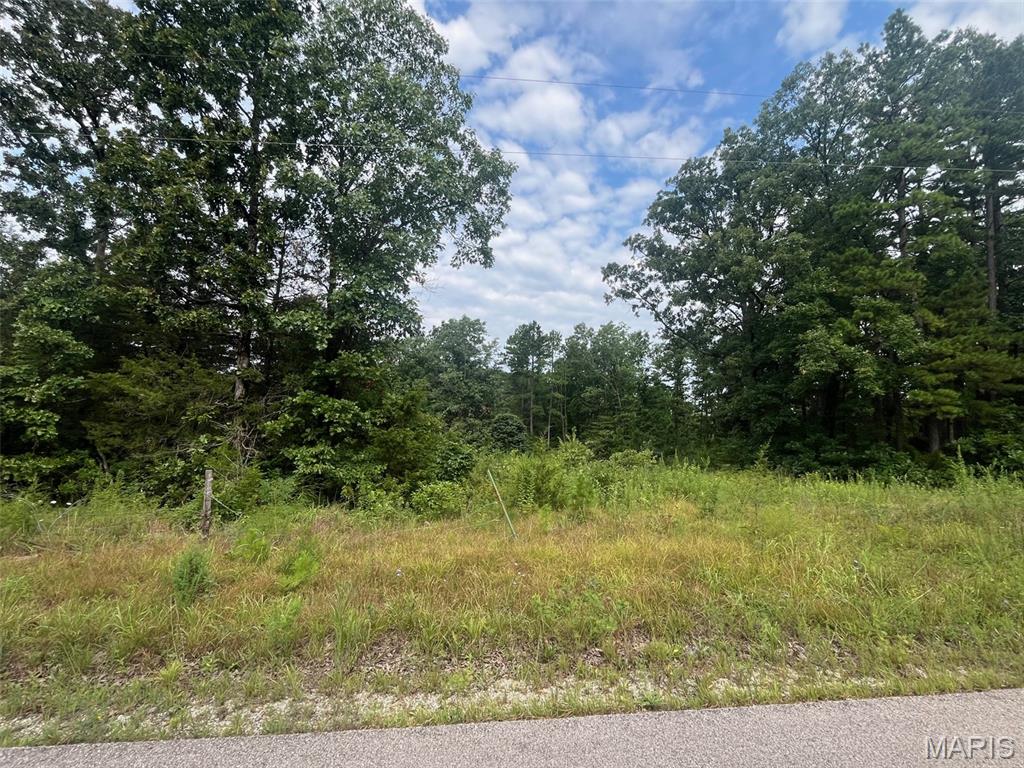 1st image of 0 Grassy Hollow Rd, Potosi, MO 63664 | MLS# MIS26046605