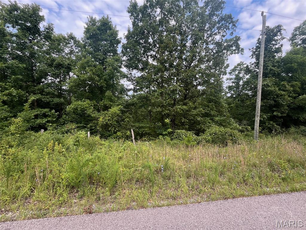 4th image of 0 Grassy Hollow Rd, Potosi, MO 63664 | MLS# MIS26046605