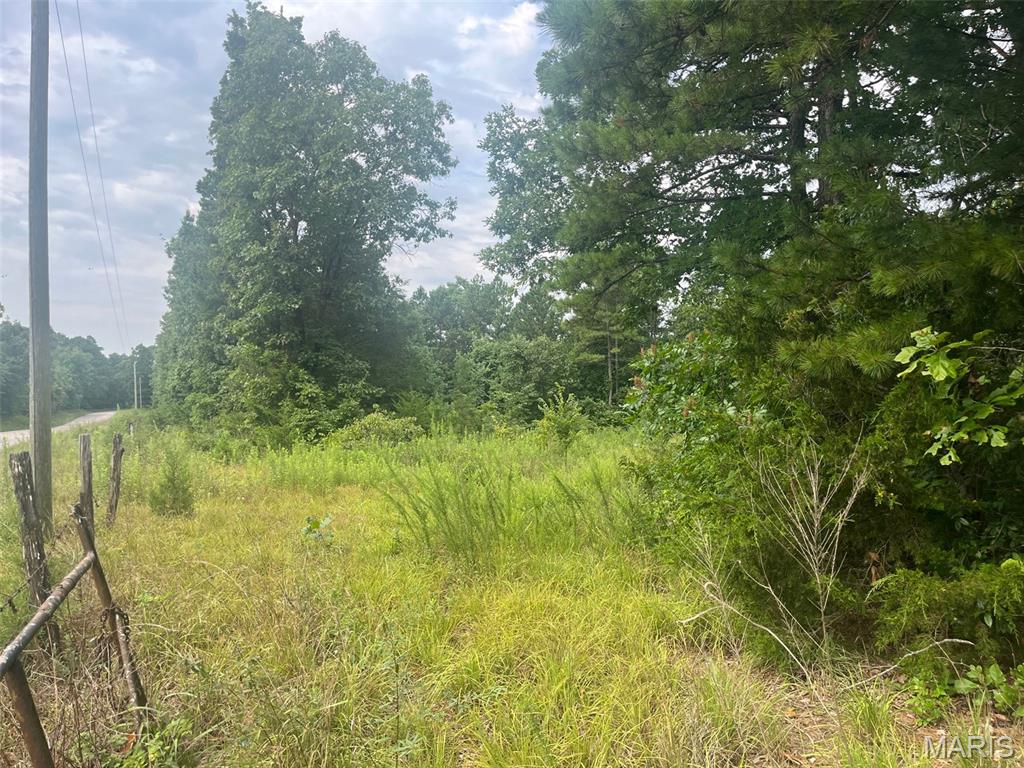 3rd image of 0 Grassy Hollow Rd, Potosi, MO 63664 | MLS# MIS26046605