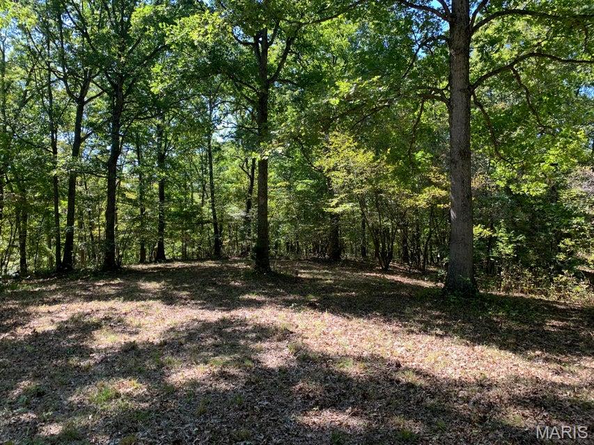 Homes for sale in Fulton, MO | Tbd Branch Rd, Fulton, MO 65251 | MLS# MIS26046663