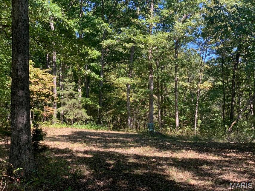 Homes for sale in Fulton, MO | Tbd Branch Rd, Fulton, MO 65251 | MLS# MIS26046663