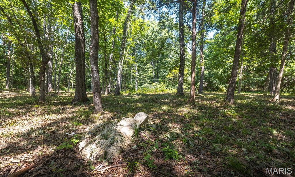 4th image of 3107 Bouquet Rd, Wildwood, MO 63038 | MLS# MIS26046980
