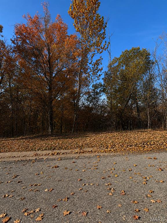 4th image of 1133 Wings Rd, Saint Albans, MO 63073 | MLS# MIS26047031