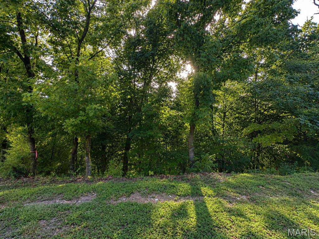 2nd image of 1133 Wings Rd, Saint Albans, MO 63073 | MLS# MIS26047031