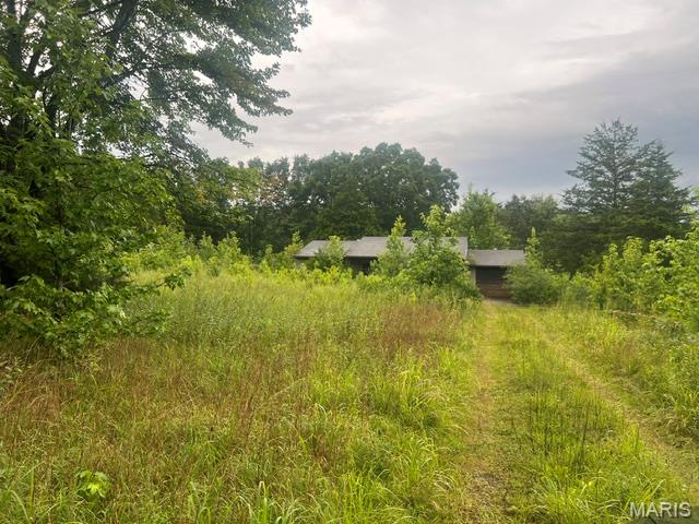 1st image of 313 Snapping Turtle Lane, Doniphan, MO 63935 | MLS# MIS26047091