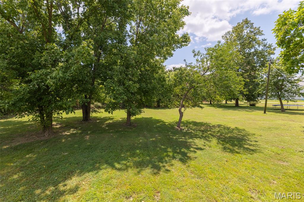 19th image of 3254 Hwy B, Poplar Bluff, MO 63901 | MLS# MIS26047232