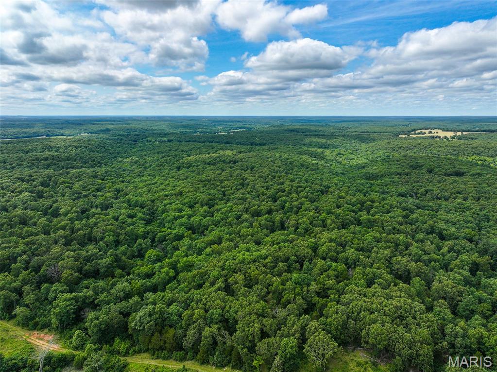 41st image of 0000 Se 1151 Rd, Collins, MO 64738 | MLS# MIS26047291